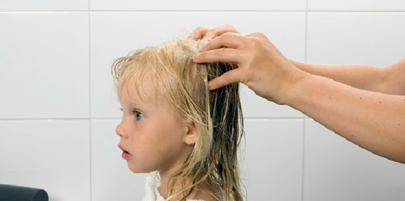 Massér Linicin Pluss Shampoo grundig inn fra hårrøtter til spisser